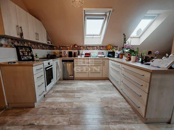 Erkel Ferenc, Csömör képe