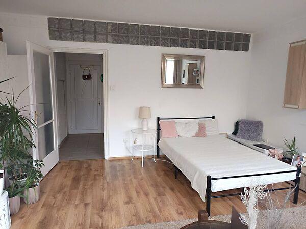 Arany János, Salgótarján képe