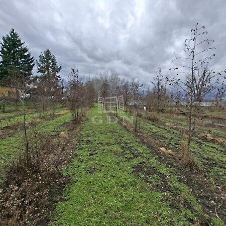 Bajcsy-Zsilinszky, Nagyigmánd képe