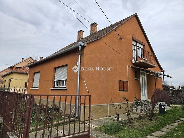 Damjanich János, Szigetvár képe