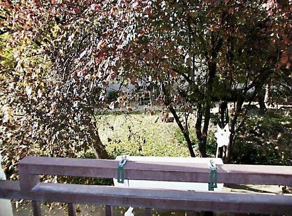 Nagy Diófa, Budapest, VII. kerület 3. képe