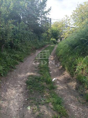 Tök,, Tök 2. képe