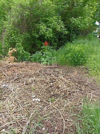 Biatorbágy 3. képe