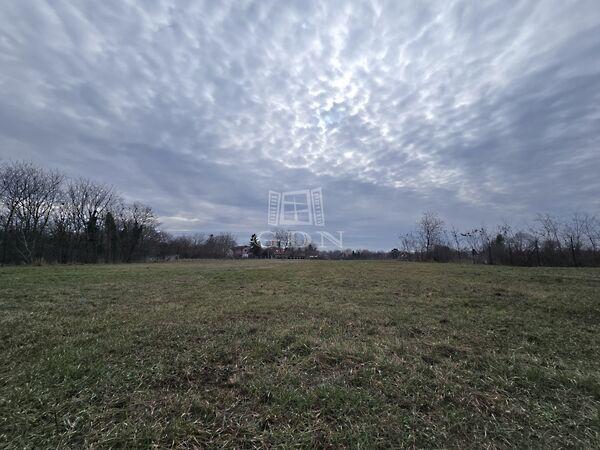 Szőlőliget Ökopark mellett 6800, Budapest, XVII. kerület képe