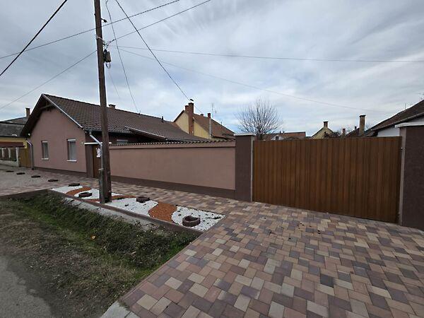 Virág, Kiskunhalas képe