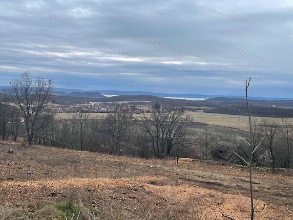 Balatonszőlős 2. képe