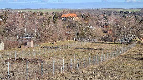 Balatonkenese 2. képe