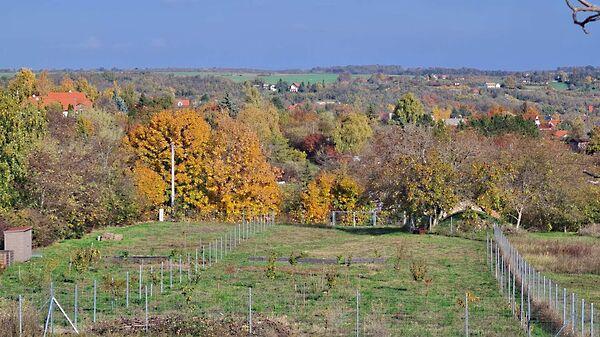 Balatonkenese 2. képe