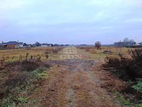 Ledina, Tököl 3. képe