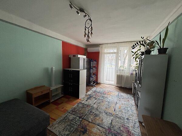 Rózsa, Tiszaújváros 3. képe