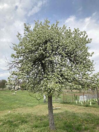 Ábrahámhegy 3. képe