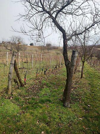 Zalaszentlászló 3. képe