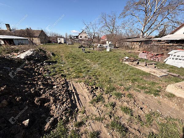 Kökörcsin, Gyenesdiás 2. képe