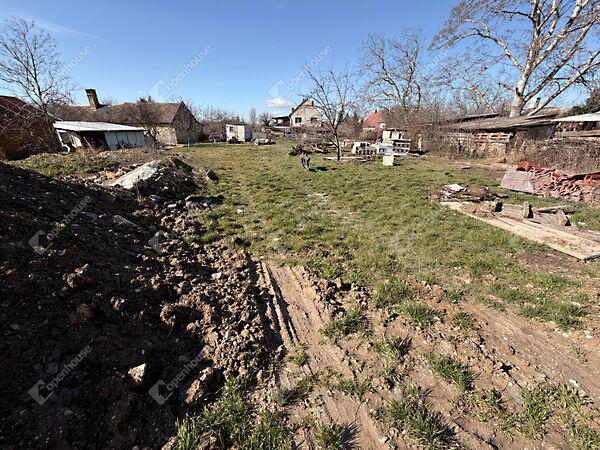 Kökörcsin, Gyenesdiás 3. képe