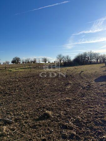 Sárbogárd-Szarvas, Sárbogárd 2. képe