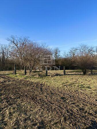 Sárbogárd-Szarvas, Sárbogárd 3. képe