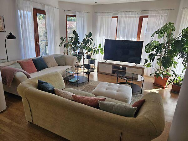 Fenyő, Feketeerdő 2. képe