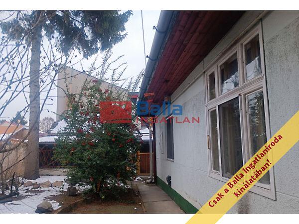 Lázár, Budapest, XX. kerület képe