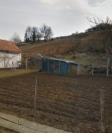 Cserháthaláp képe