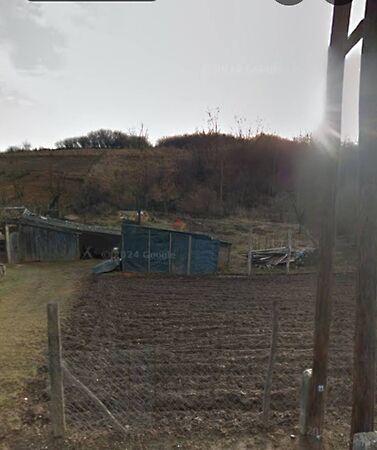 Cserháthaláp 3. képe