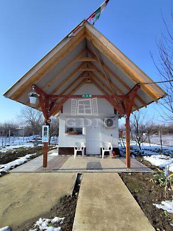 Mogyoró, Újszentiván képe