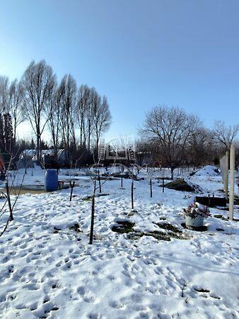 Mogyoró, Újszentiván képe