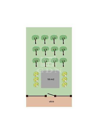 Mogyoró, Újszentiván 2. képe