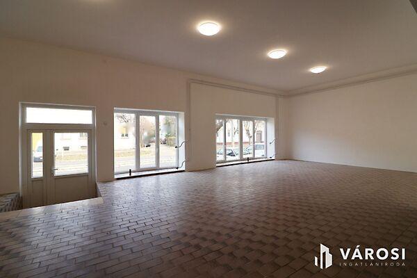 Hódmezővásárhely képe