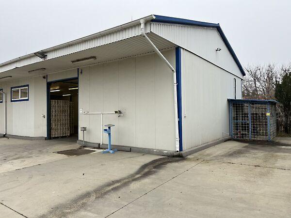 Petőfi, Ásotthalom 2. képe