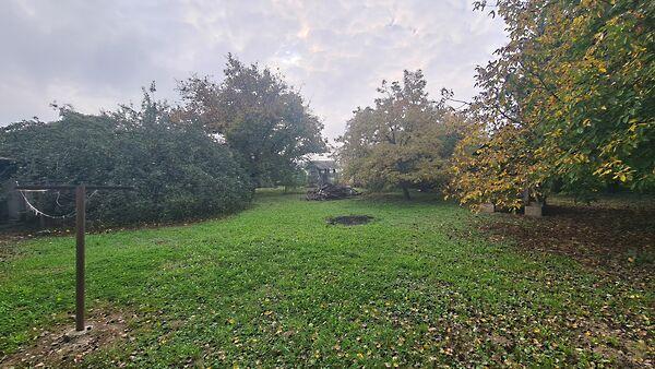 Kossuth Lajos, Alsórajk 2. képe