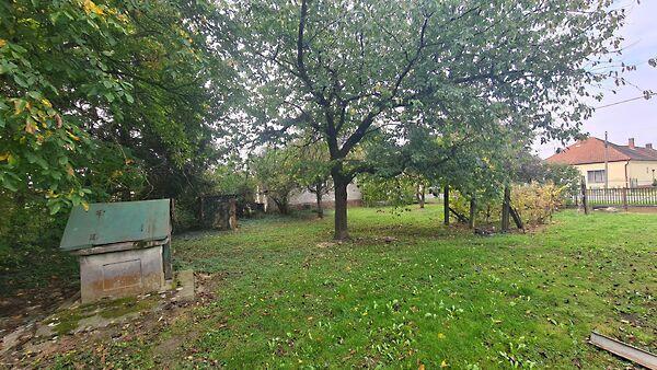 Kossuth Lajos, Alsórajk 3. képe