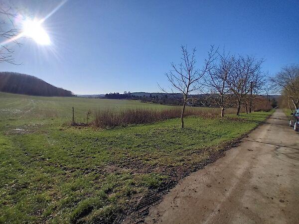 Rákóczi Ferenc, Kisbucsa képe