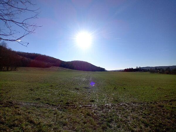 Rákóczi Ferenc, Kisbucsa 2. képe