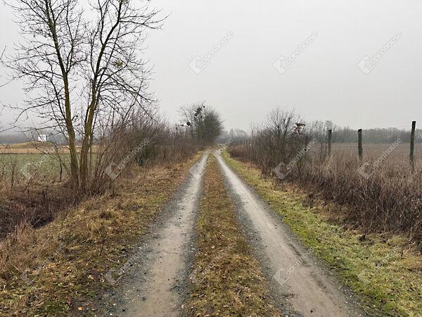 Zalaegerszeg 2. képe