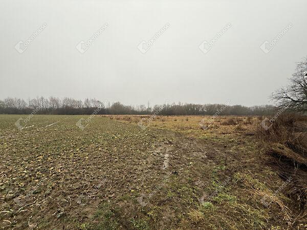 Zalaegerszeg 3. képe