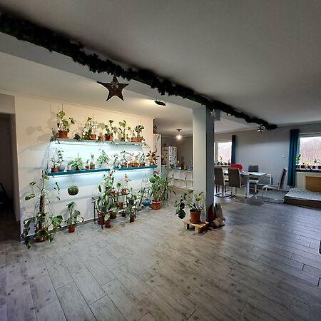 Judit Ingatlan és, Monor 3. képe