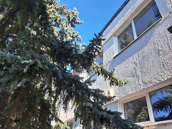 Kacsóh Pongrác, Budapest, XV. kerület 2. képe