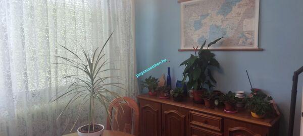 Derkovics Gyula, Ózd 3. képe