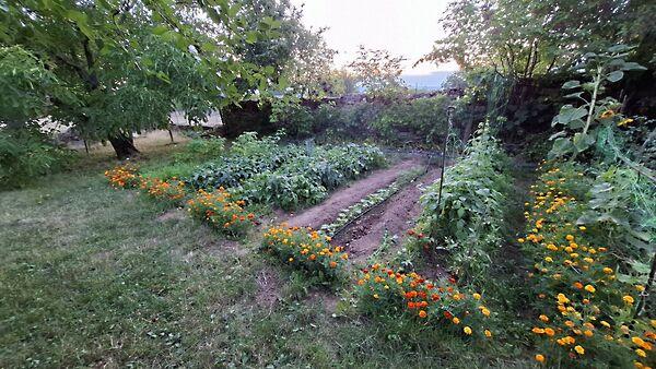 Tótvázsony 2. képe