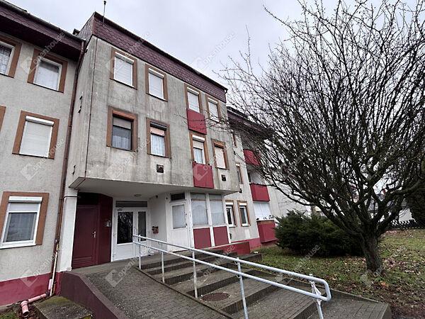 Pipacs, Keszthely képe