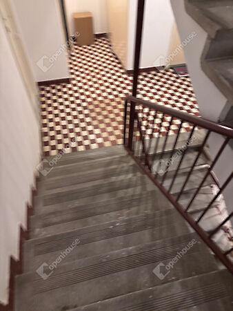 Pipacs, Keszthely 2. képe