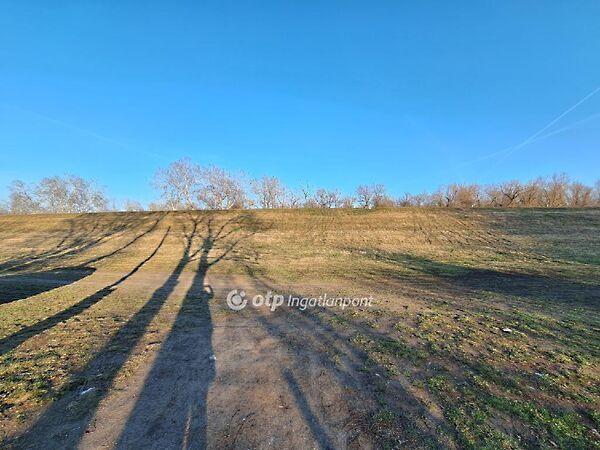 Körösladány 2. képe