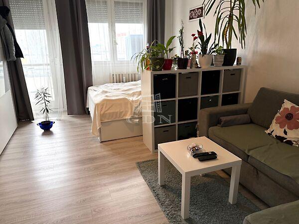 Március 15., Kecskemét képe