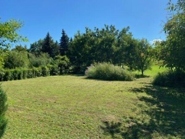 Tótvázsony 3. képe