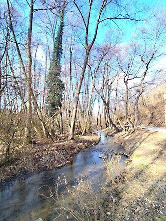 Erdőszéli, patakparti építési, Döbrönte 3. képe