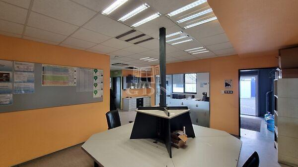 Csucskai, Székesfehérvár 2. képe