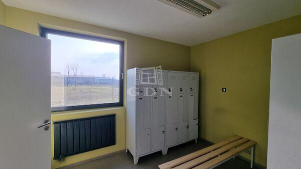 Csucskai, Székesfehérvár 3. képe