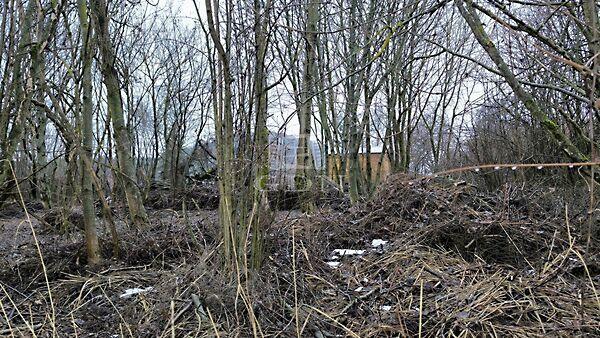 panorámás, Dunabogdány 2. képe