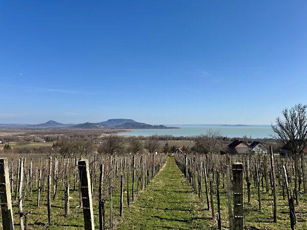 Balatonederics 3. képe