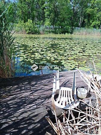 Hercegszántó 2. képe